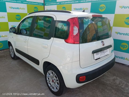 Fiat Panda LOUNGE 1.2 69 CV 5P - Santa Margalida