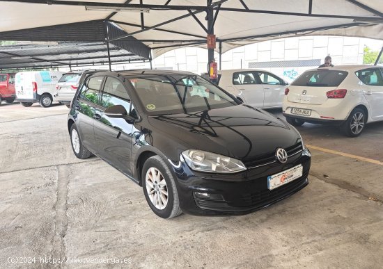 Volkswagen Golf 1.6 TDI ADVANCE  BMT - Cornella de Terri