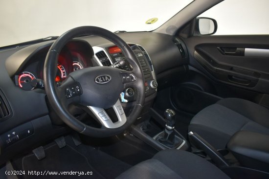 Kia Pro_Ceed 1.6 CRDI 90CV 3P - Fornells de la Selva