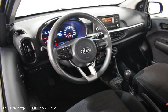 Kia Picanto Concept Plus 1.0 70CV - Fornells de la Selva