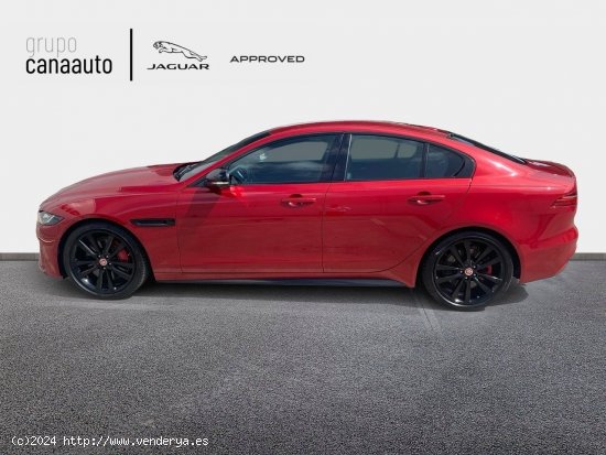 Jaguar XE R-DYNAMIC BLACK EDITION 250 CV - Miller - Las Palmas de Gran Canaria