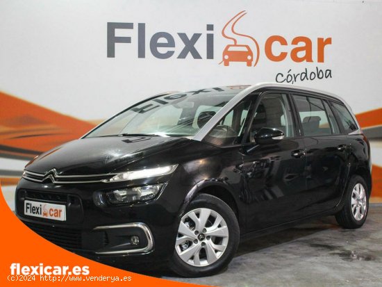 Citroën Grand C4 SpaceTourer PureTech 96KW (130CV) S&S 6v Feel - Córdoba