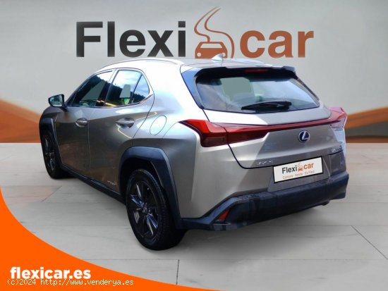 Lexus UX 2.0 250h Business Navigation - Vigo