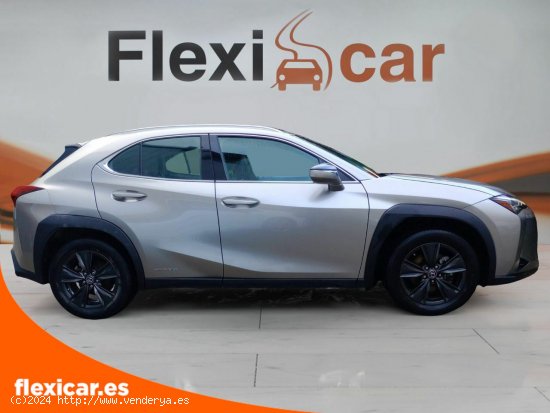 Lexus UX 2.0 250h Business Navigation - Vigo