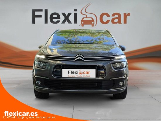 Citroën C4 Spacetourer PureTech 96KW (130CV) S&S EAT8 Feel - Palma