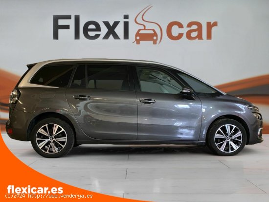 Citroën Grand C4 Picasso BlueHDi 110KW (150CV) EAT6 Shine - Vizcaya