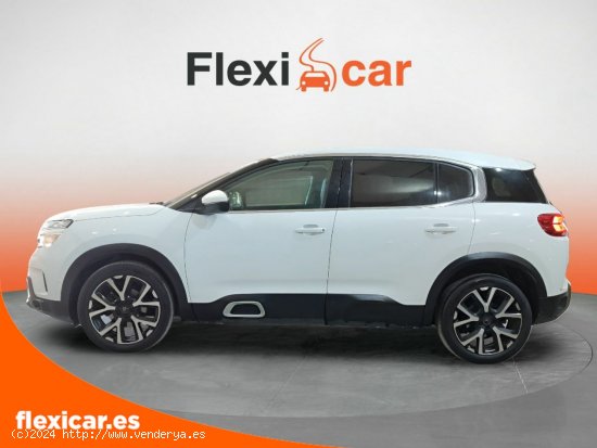 Citroën C5 Aircross BlueHdi 96kW (130CV) S&S Feel - Jaén