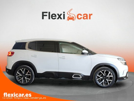 Citroën C5 Aircross BlueHdi 96kW (130CV) S&S Feel - Jaén