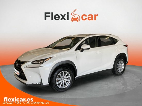 Lexus NX 2.5 300h Corporate 2WD + Navibox - Puerto de Sagunto