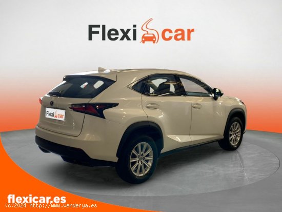 Lexus NX 2.5 300h Corporate 2WD + Navibox - Puerto de Sagunto