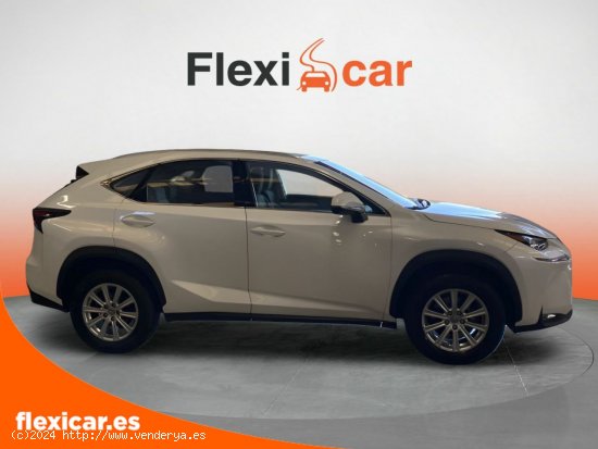 Lexus NX 2.5 300h Corporate 2WD + Navibox - Puerto de Sagunto