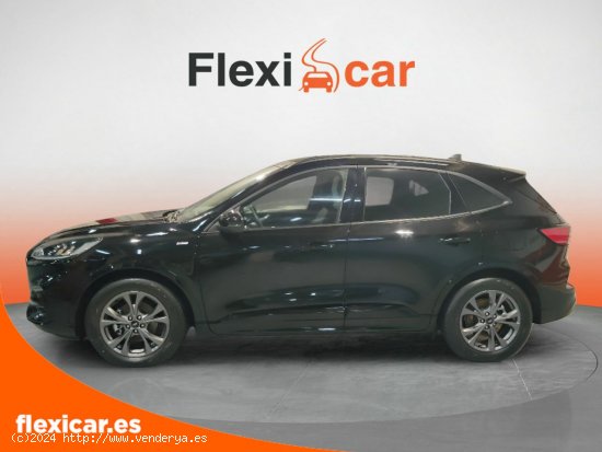 Ford Kuga ST-Line 1.5 EcoBlue 88kW (120CV) - Biscay