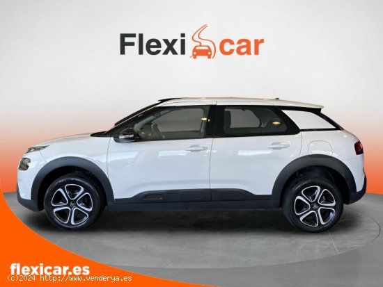 Citroën C4 Cactus BlueHDi 100 S&S Feel - Iurreta