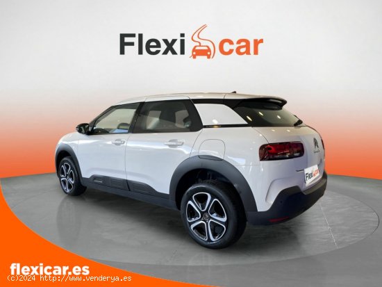 Citroën C4 Cactus BlueHDi 100 S&S Feel - Iurreta