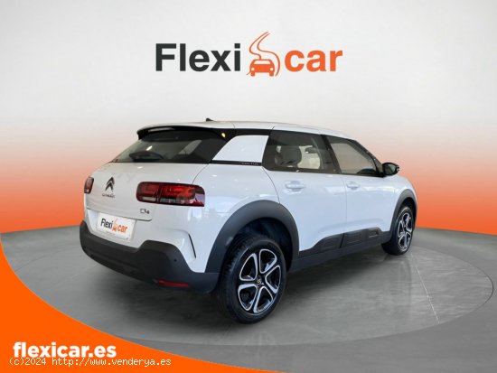 Citroën C4 Cactus BlueHDi 100 S&S Feel - Iurreta