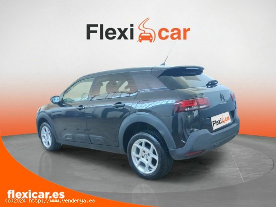 Citroën C4 Cactus BlueHDi 73KW (100CV) Business - Badajoz