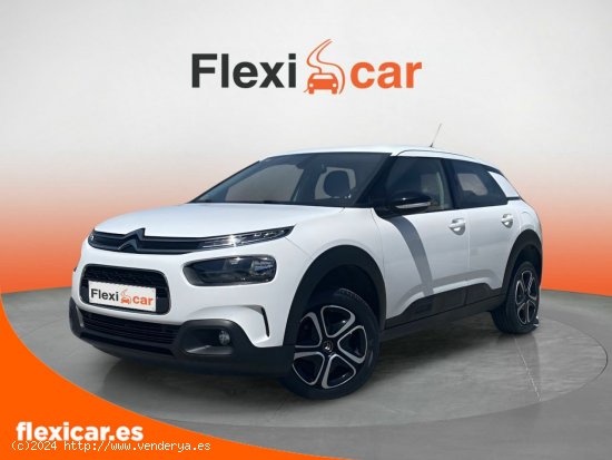 Citroën C4 Cactus BlueHDi 100 S&S Feel - Pamplona