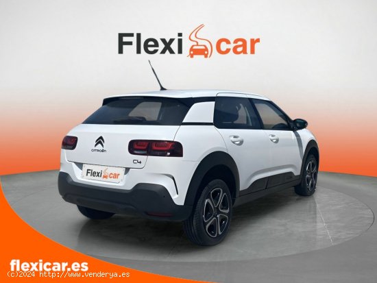 Citroën C4 Cactus BlueHDi 100 S&S Feel - Pamplona