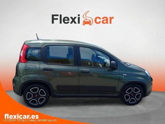 Fiat Panda City Life Hybrid 1.0 Gse 51kw (70CV) - La Laguna