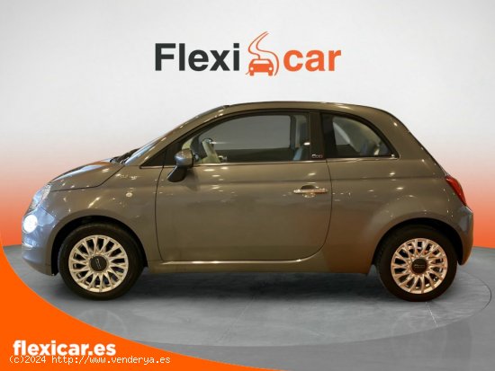 Fiat 500 Cult 1.0 Hybrid 52KW (70 CV) - Alicante