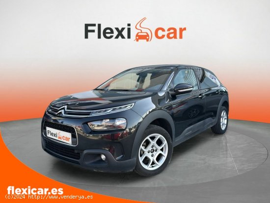 Citroën C4 Cactus 81KW (110CV)  - 5 P - Sant Boi de Llobregat