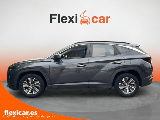 Hyundai Tucson 1.6 TGDI 110kW (150CV) 48V Maxx - 5 P (2023) - Granollers