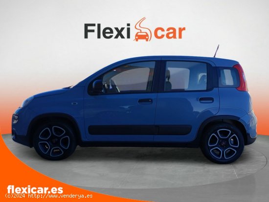 Fiat Panda City Life Hybrid 1.0 Gse 51kw (70CV) - La Laguna