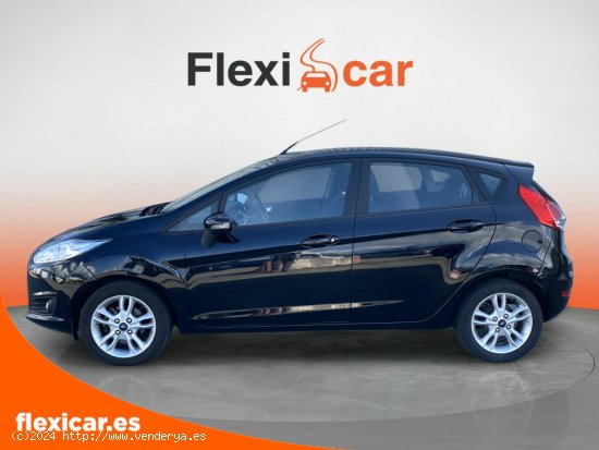 Ford Fiesta 1.0 EcoBoost 100cv Titanium 5p - Irun