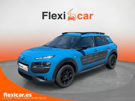 Citroën C4 Cactus PureTech 81KW (110CV) S&S Feel - Vizcaya