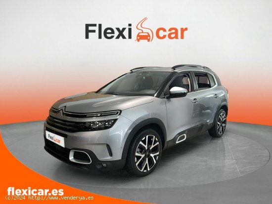 Citroën C5 Aircross BlueHdi 96kW (130CV) S&S EAT8 Shine - Albacete