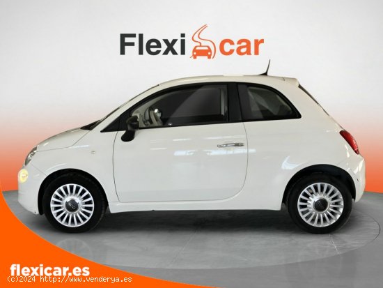 Fiat 500 1.2 8v 51kW (69CV) Pop - Alicante