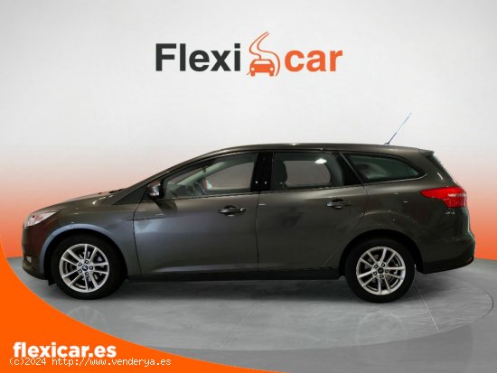 Ford Focus 1.0 Ecoboost 74kW Trend Sportbr - Sabadell