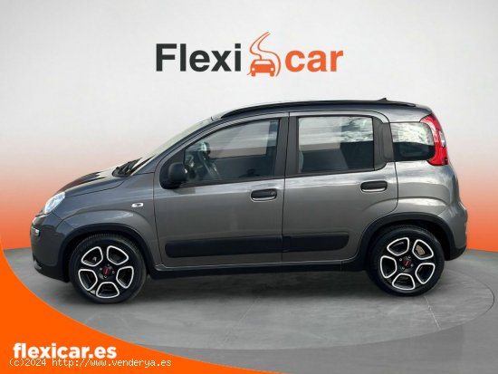 Fiat Panda City Life Hybrid 1.0 Gse 51kw (70CV) - Zaragoza