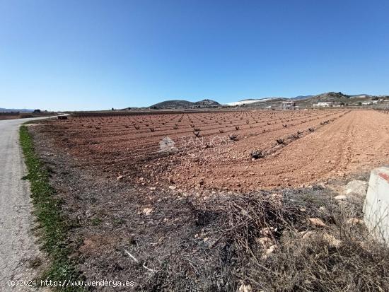 SE VENDE PARCELA RÚSTICA DE REGADÍO - ALICANTE