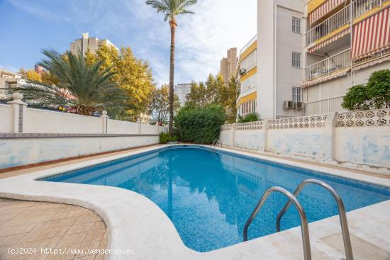 Se Vende en Benidorm - ALICANTE