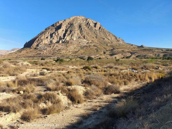 PARCELAS RÚSTICAS - EL REBOLLEDO (ALICANTE) - ALICANTE