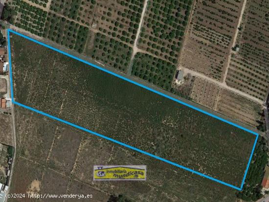 Se vende Finca Rústica en Santomera zona Matanzas con 32023m de superficie - MURCIA