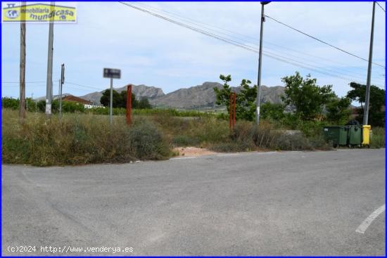  Parcela para construir chalet en Matanzas - MURCIA 