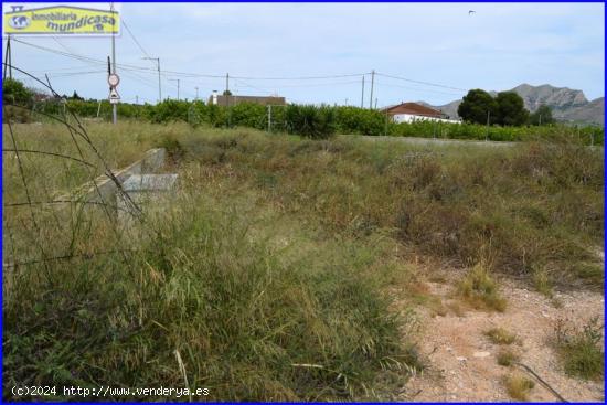 Parcela para construir chalet en Matanzas - MURCIA