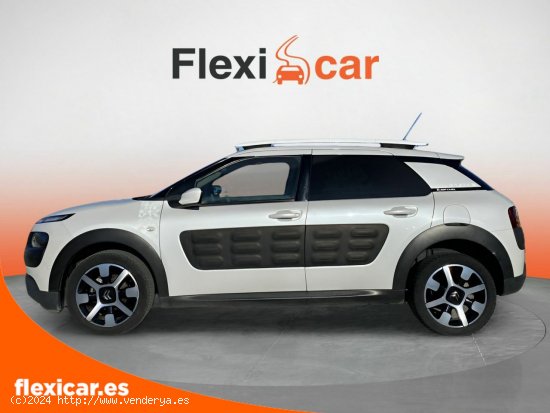 Citroën C4 Cactus PureTech 81KW (110CV) S&S Rip Curl - 5 P - Atarfe