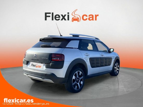 Citroën C4 Cactus PureTech 81KW (110CV) S&S Rip Curl - 5 P - Atarfe