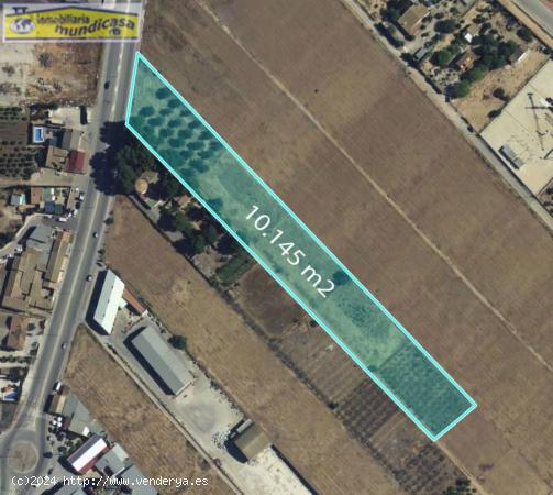 Se vende finca rústica en La Matanza de Santomera - MURCIA