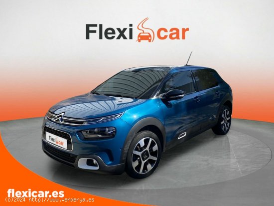 Citroën C4 Cactus PureTech 96kW (130CV) S&S Shine - Vigo