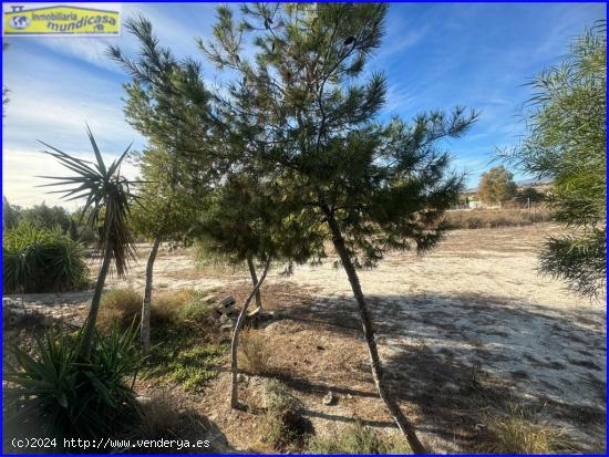 Terreno no urbano en Fortuna zona Las Delicias - MURCIA