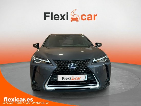 Lexus UX 2.0 250h Business - Reus