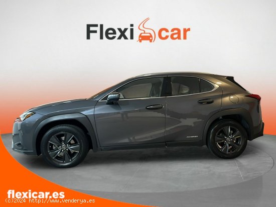 Lexus UX 2.0 250h Business - Reus