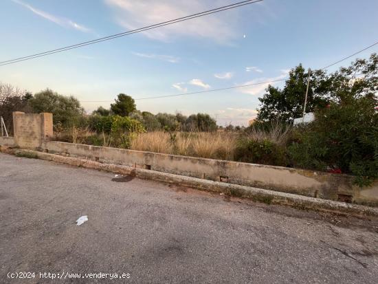 PARCELA RÚSTICA CON CONSTRUCCIÓN DE CASA EN SU INTERIOR - CASTELLON