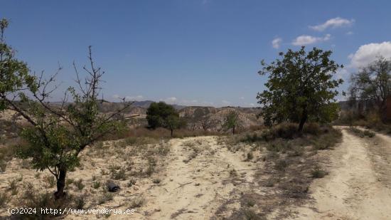 TERRENO RÚSTICO EN VENTA EN CABEZO DE LA PLATA - MURCIA