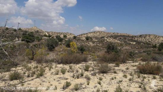 TERRENO RÚSTICO EN VENTA EN CABEZO DE LA PLATA - MURCIA