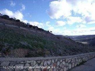  TERRENO URBANO EN LORANCA DE TAJUÑA, GUADALAJARA - GUADALAJARA 